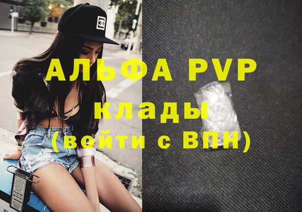молекула духа Новый Уренгой