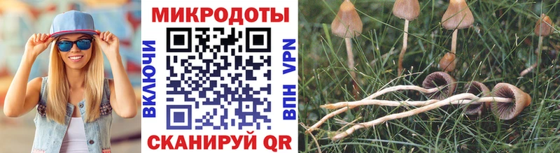 OMG как войти  наркошоп  Гусиноозёрск  Галлюциногенные грибы Psilocybine cubensis 